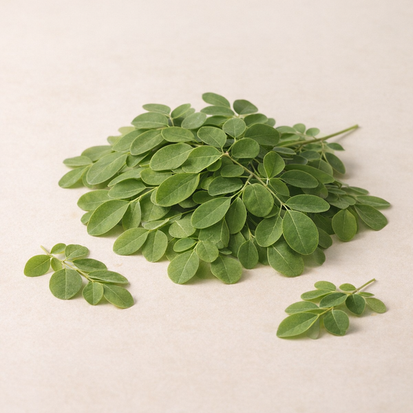 Moringa Oleifera Leaf