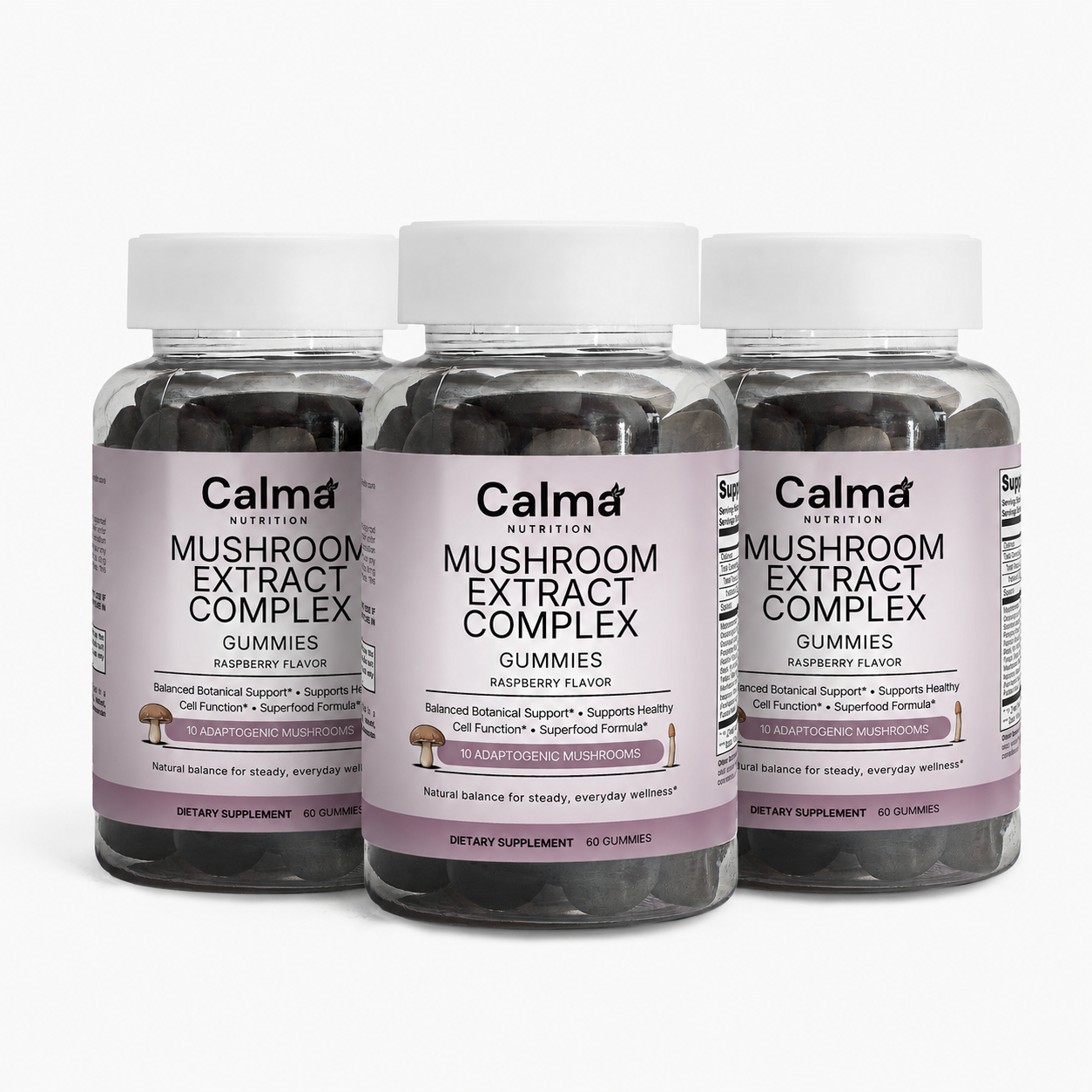 Mushroom Extract Complex | 90-Day Ritual
