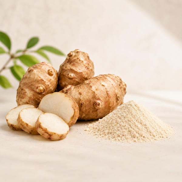 Jerusalem Artichoke Root